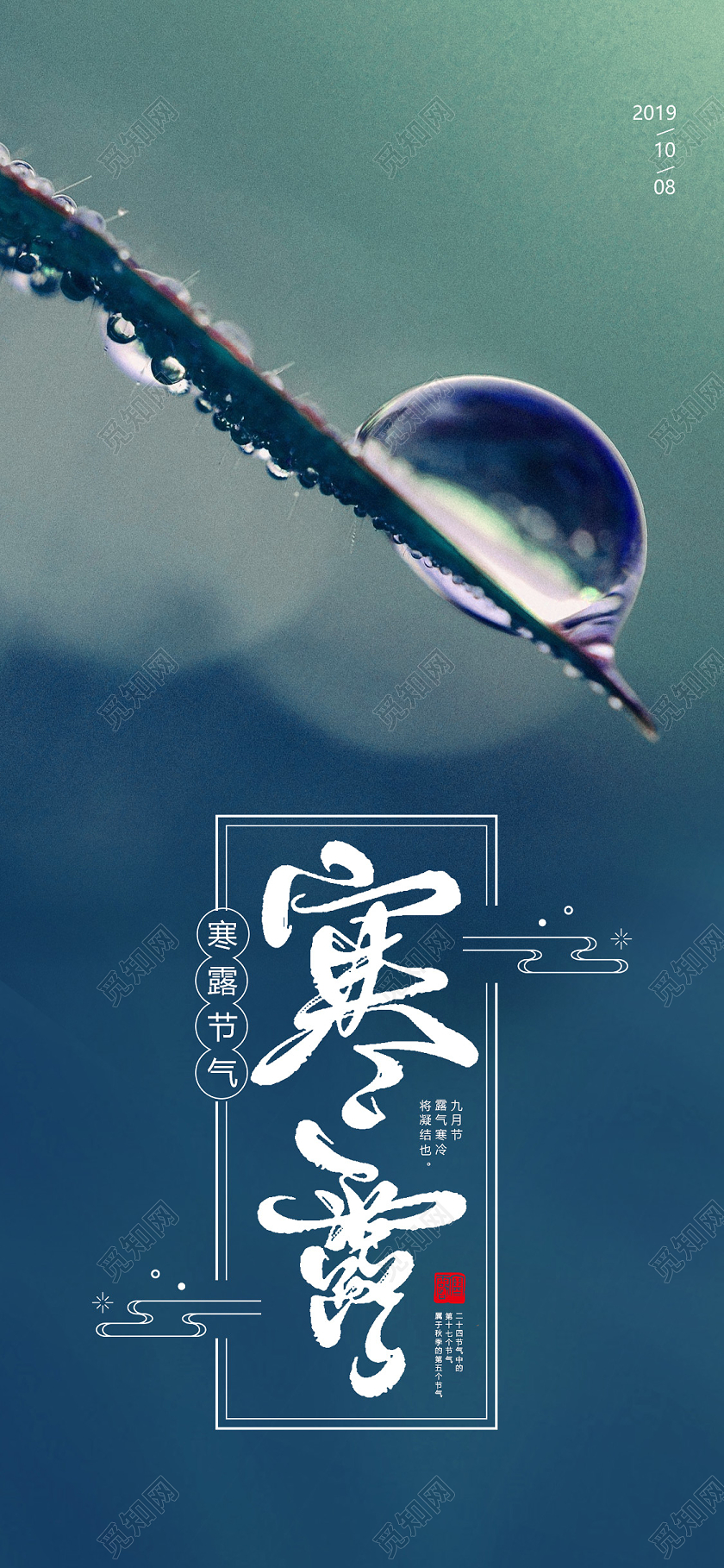 绿色树叶水珠二十四节气24节气寒露手机海报