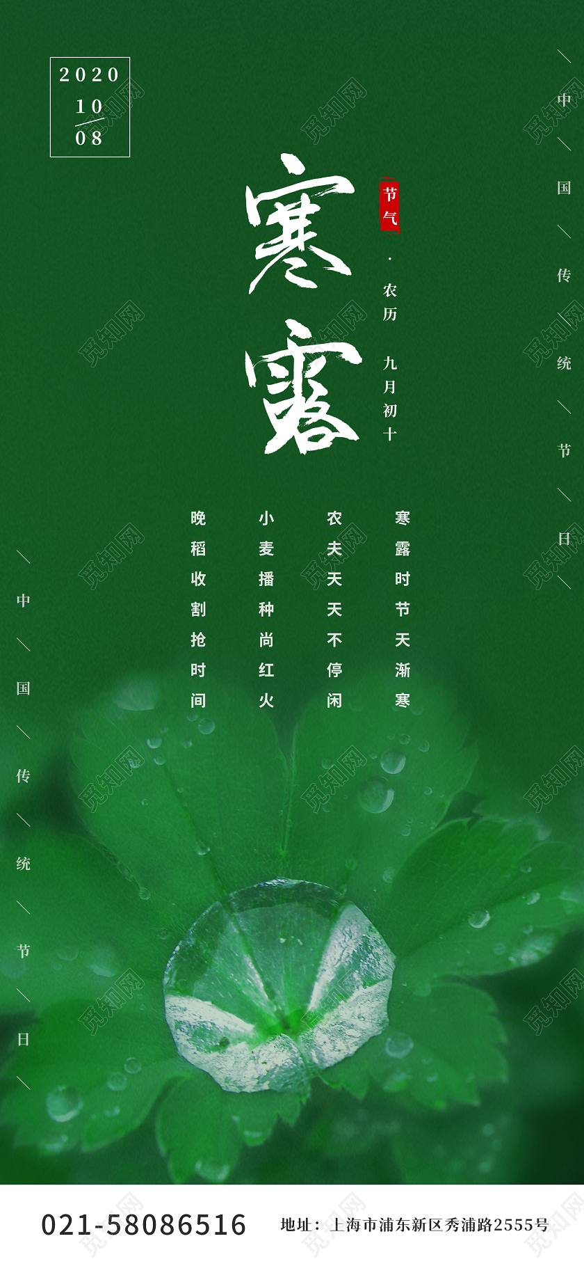 绿色叶子露珠二十四节气寒露手机海报二十四节气24节气寒露手机海报