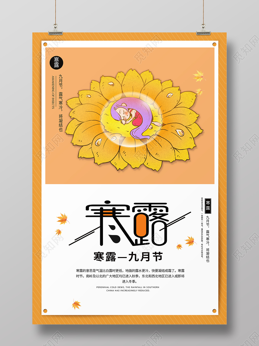 卡通风黄色系二十四节气24节气寒露宣传海报