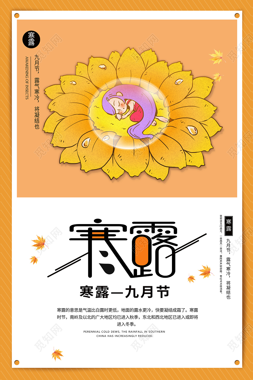 卡通风黄色系二十四节气24节气寒露宣传海报