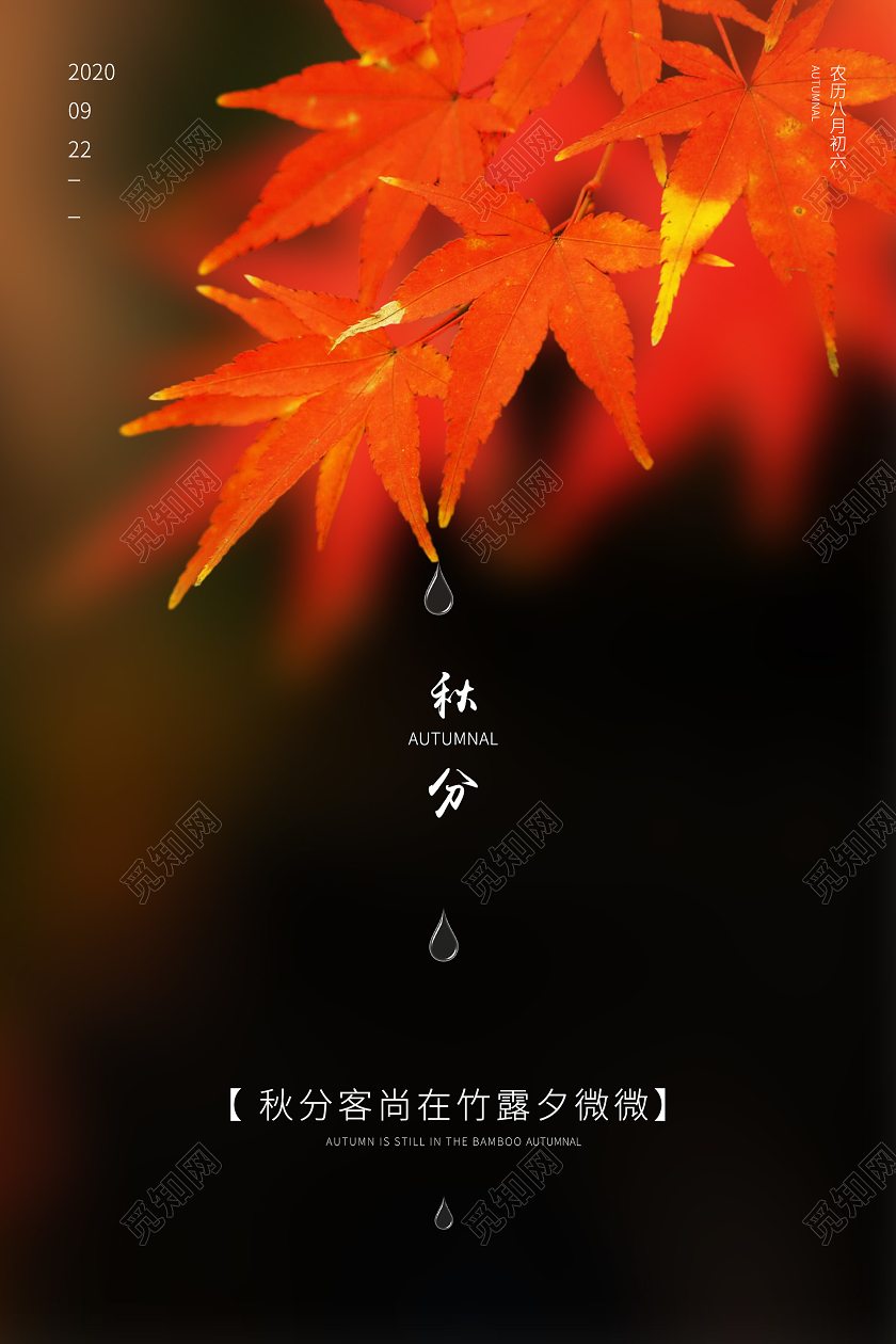 深色意境秋分24二十四节气海报
