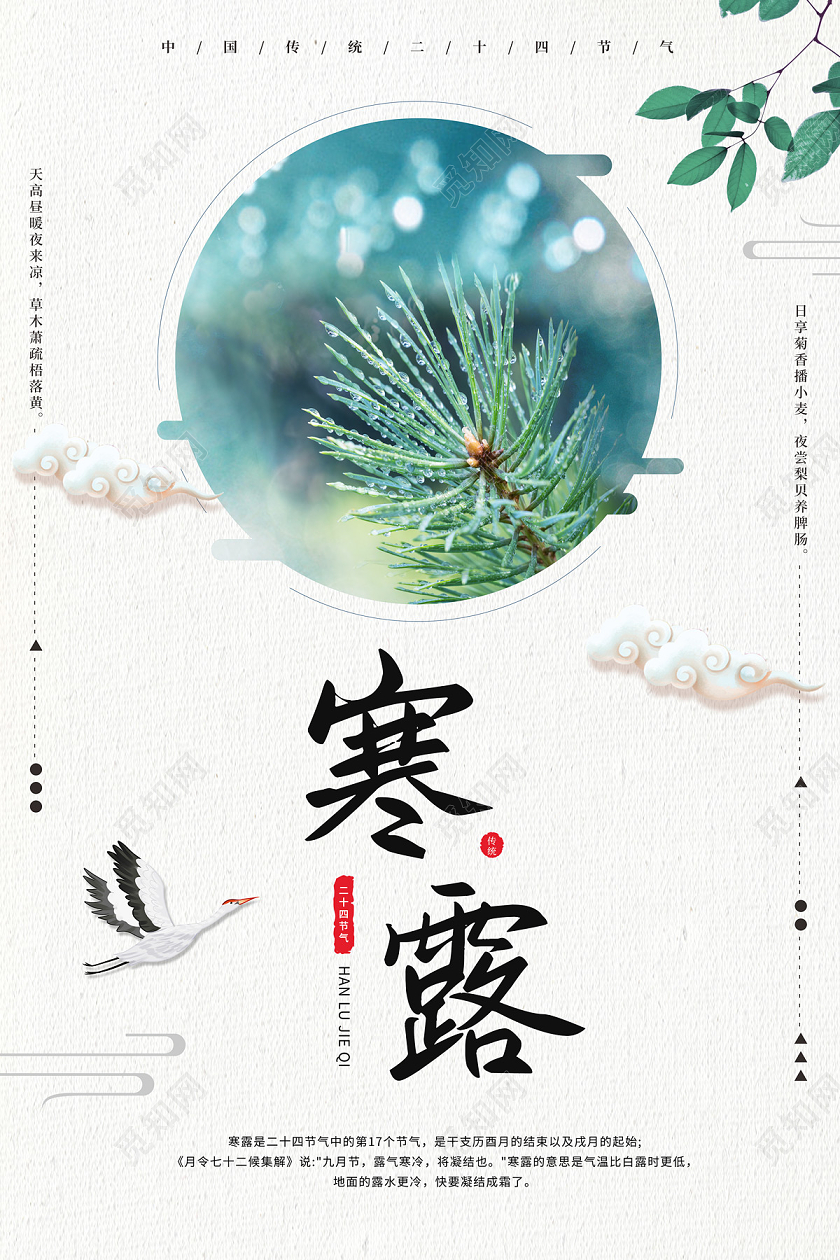 白色清新二十四节气24节气寒露海报