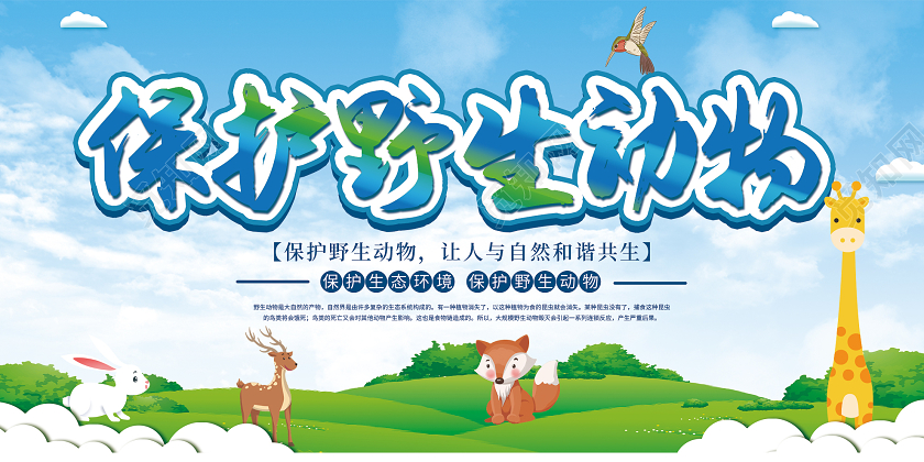蓝色小清新保护野生动物生态环境展板保护动物