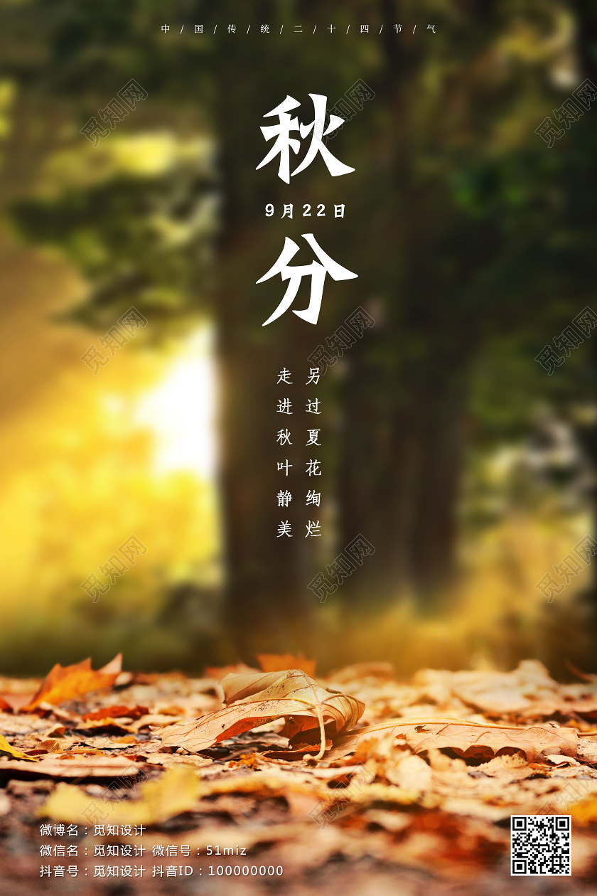 黄色秋分中国传统节气秋天到了叶子黄了叶子时节节气宣传海报