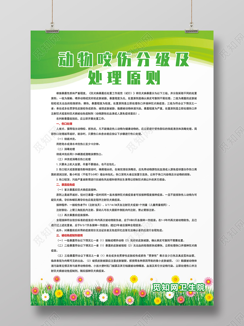 制度绿色环保简约狂犬疫苗门诊工作处理原则海报宣传狂犬病