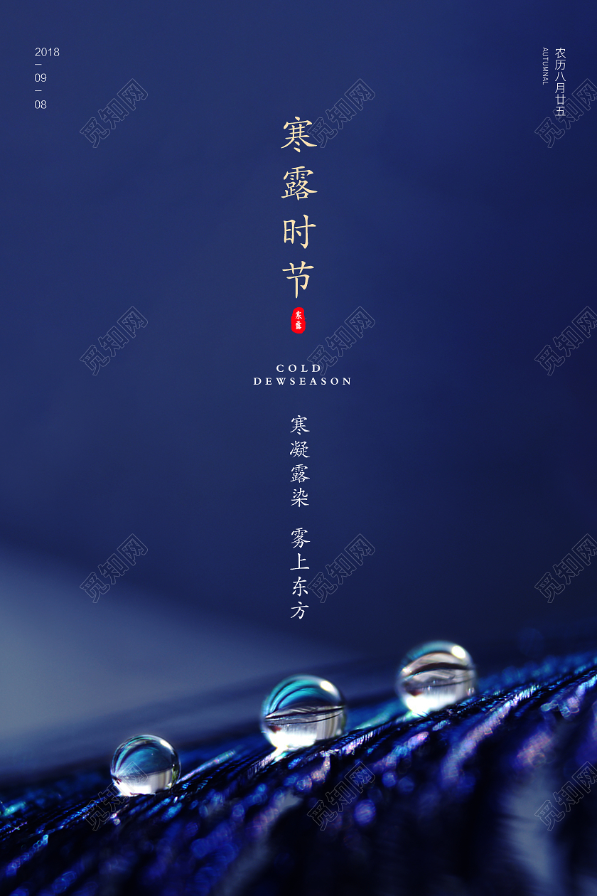 蓝色简约大气24节气二十四节气寒露时节宣传海报