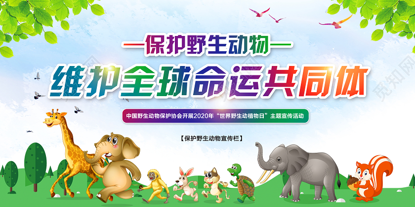 绿色环保城市动物保护野生动物展板宣传保护动物