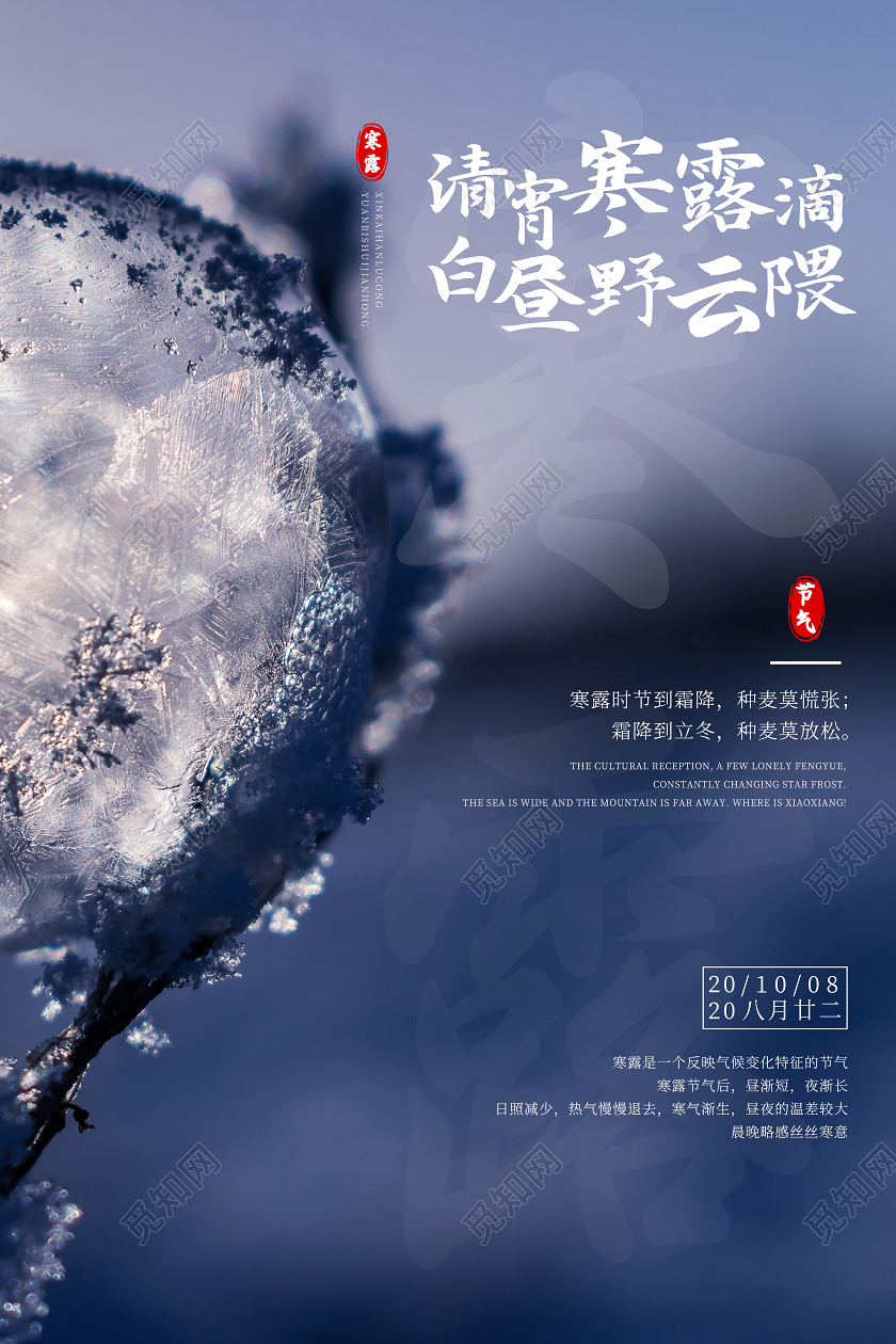 紫色简约寒露二十四节气宣传海报