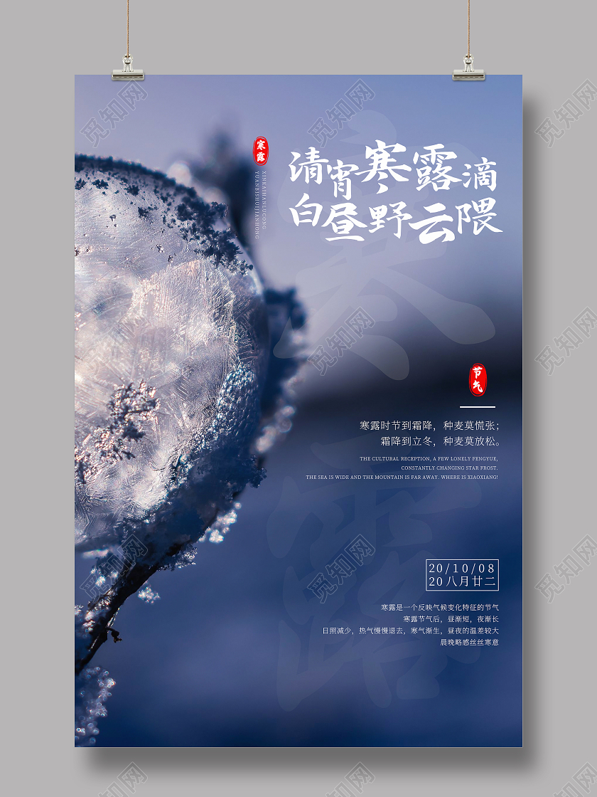 紫色简约寒露二十四节气宣传海报