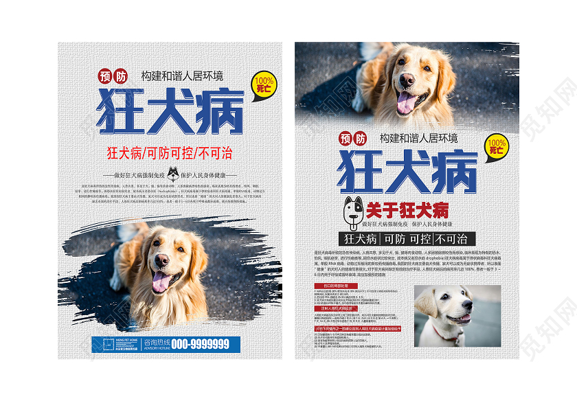 灰色简洁预防狂犬病宣传单