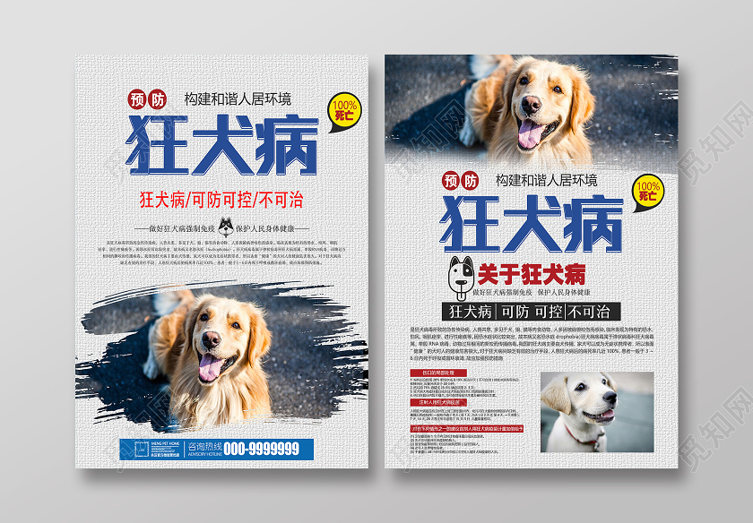灰色简洁预防狂犬病宣传单