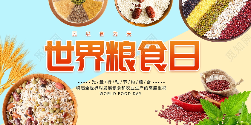 世界粮食日节约粮食展板