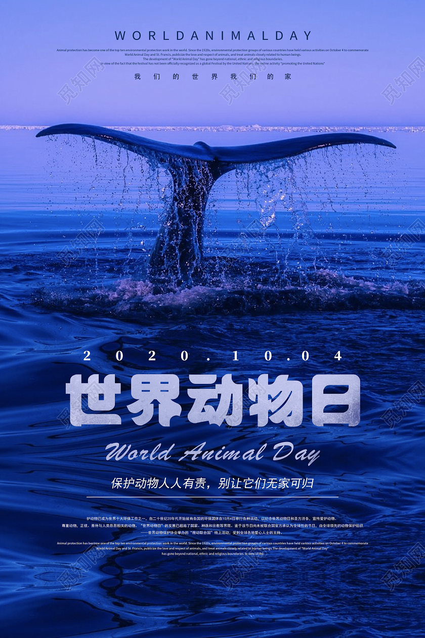 蓝色简约世界动物日宣传海报