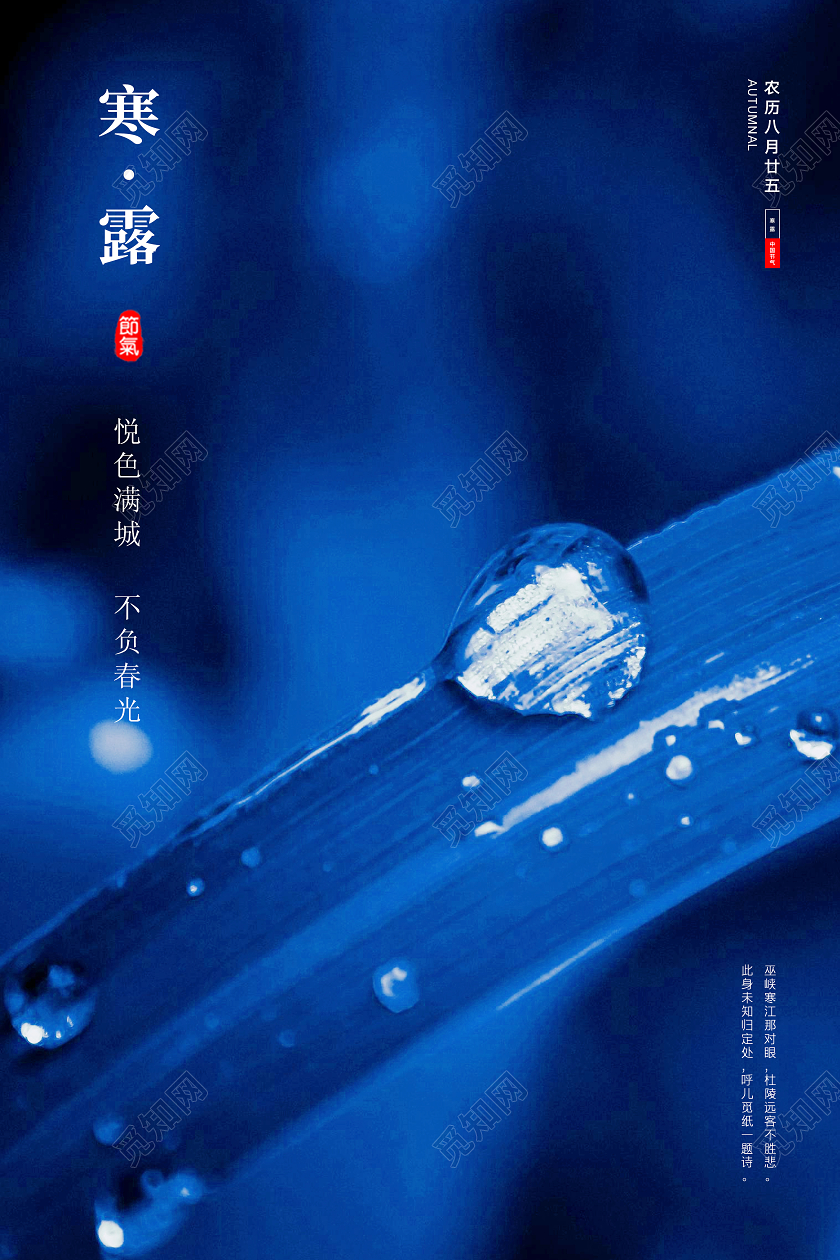 蓝色大气简约露珠二十四节气寒露宣传海报