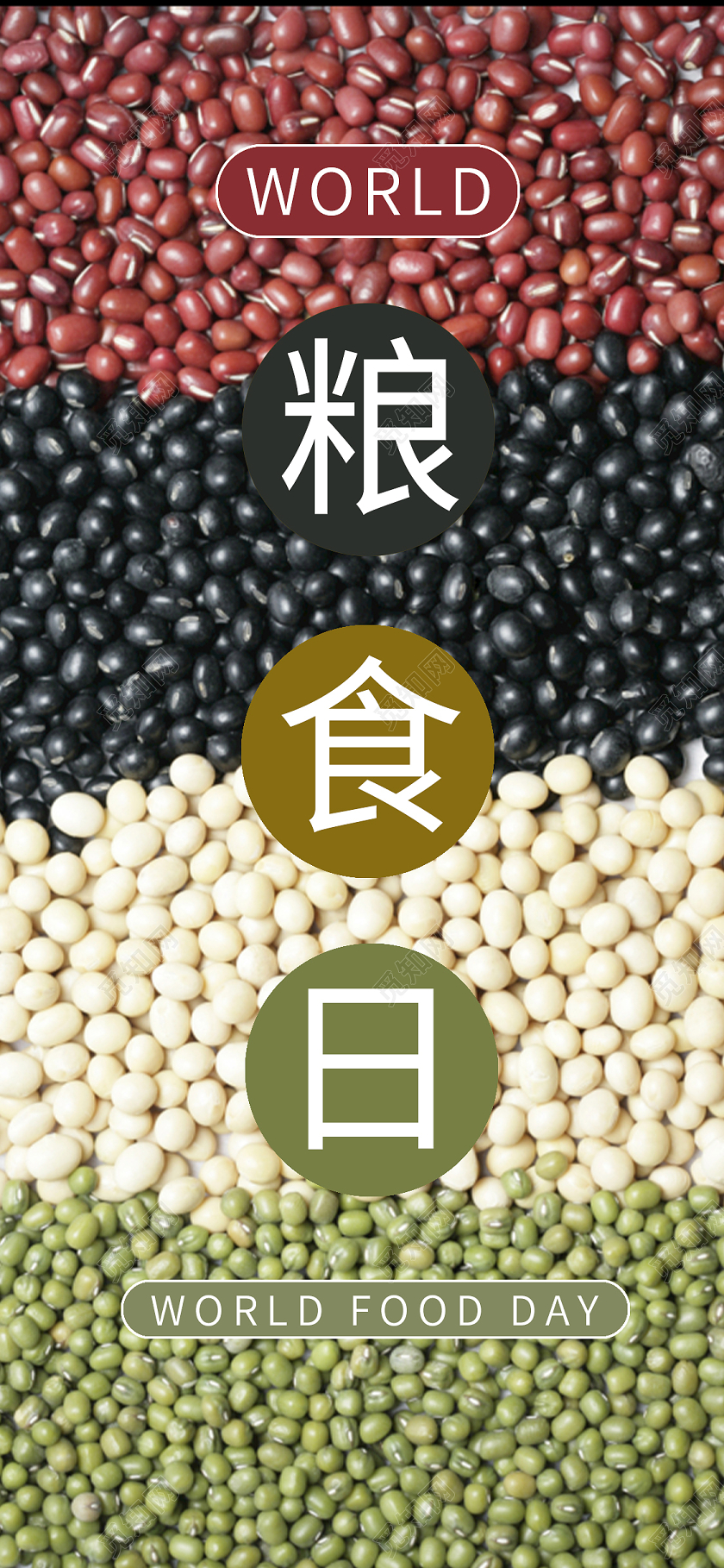 彩色实景粮食日世界粮食日手机海报