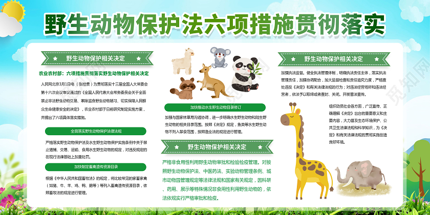 绿色环保城市动物野生动物保护法展板宣传保护动物