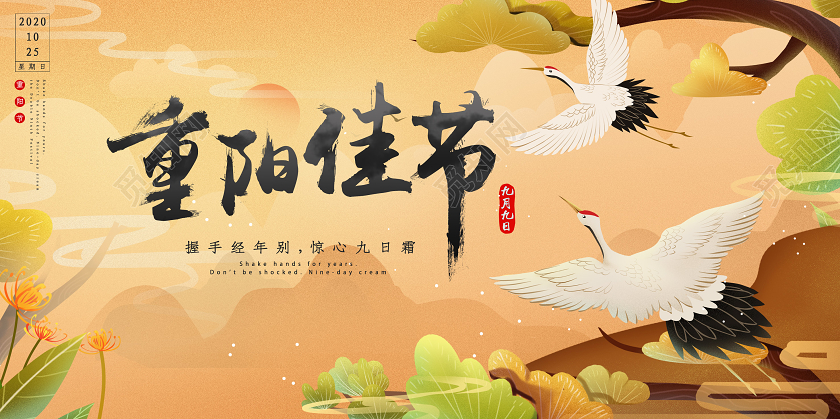 清新插画国潮重阳节节日宣传展板