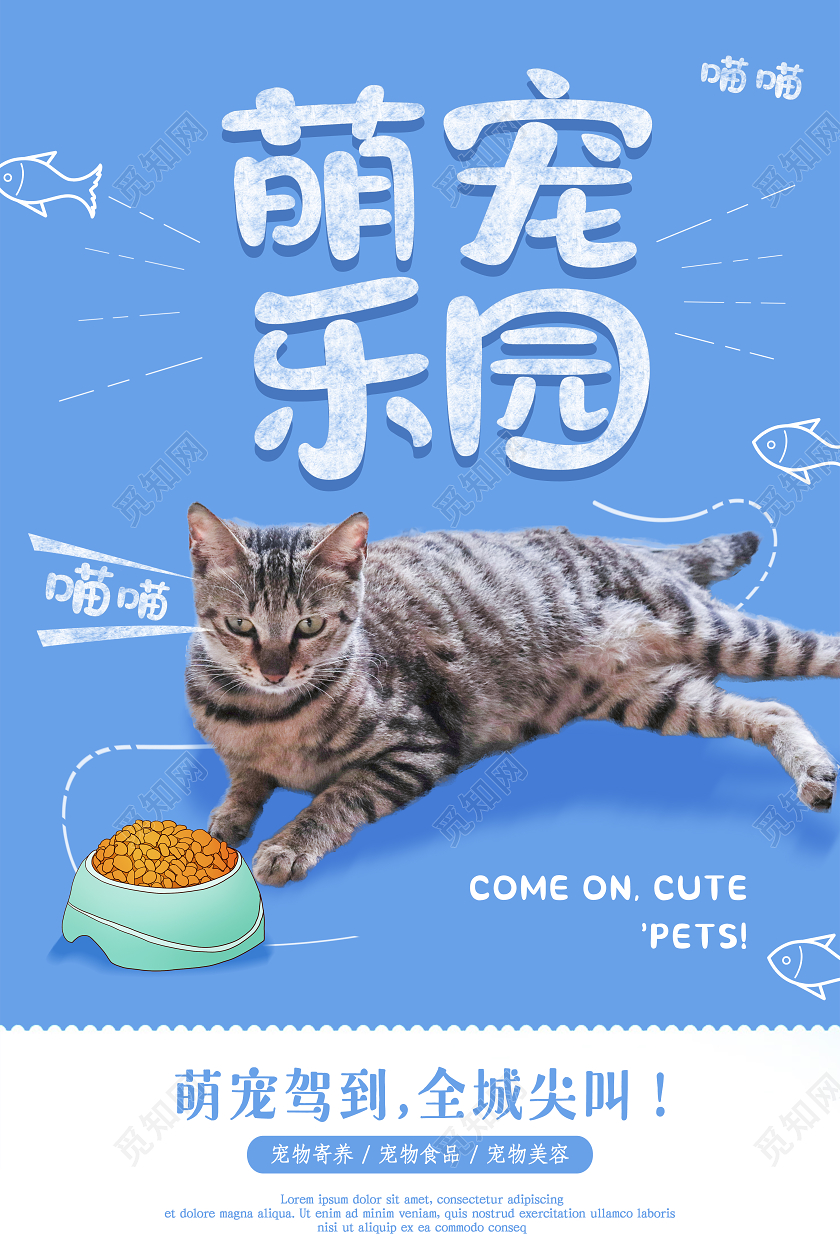 蓝色卡通风格猫咪萌宠乐园宠物海报