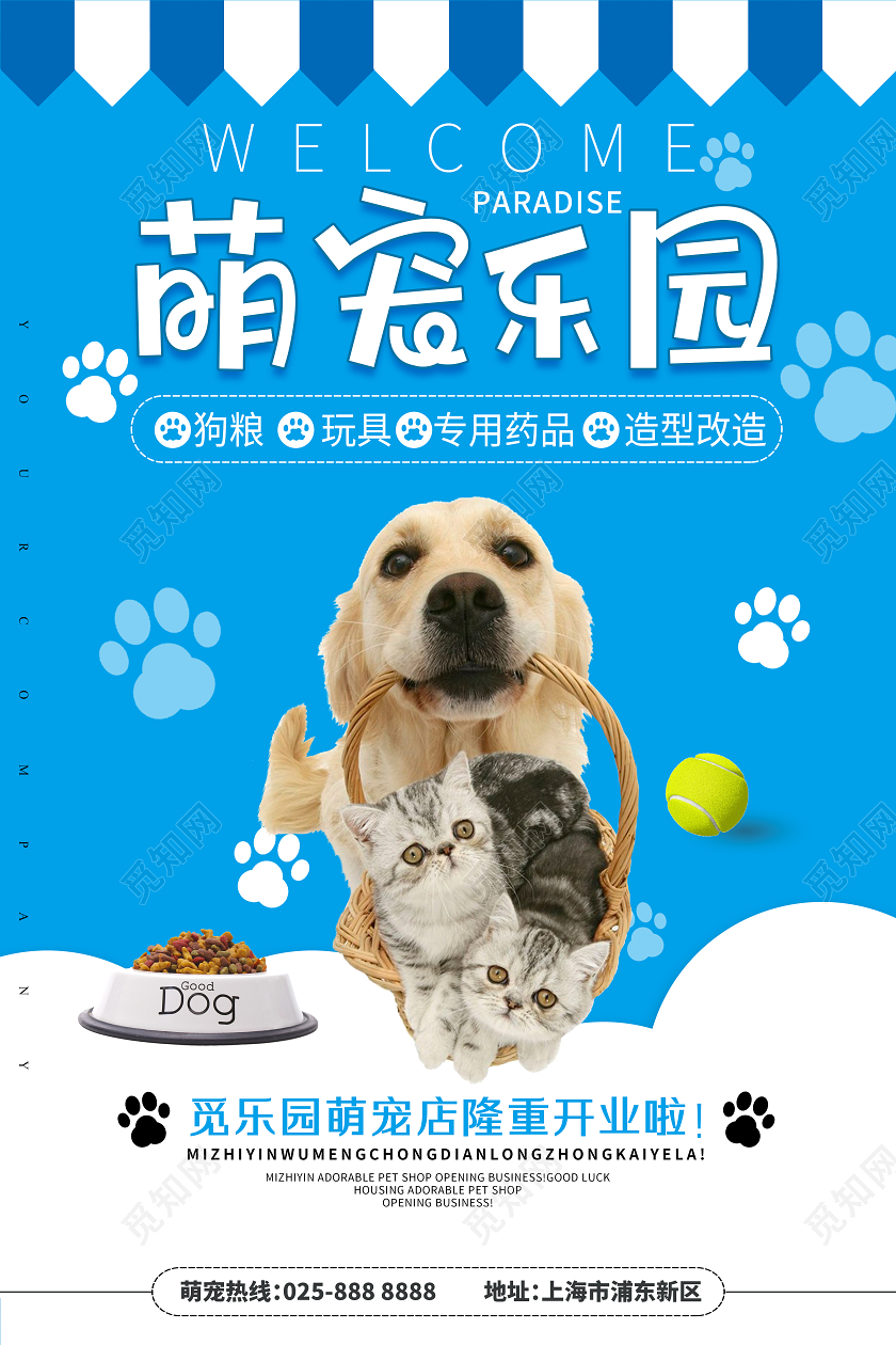 萌宠乐园宠物可爱简约蓝色清新宠物店开业猫狗领养海报