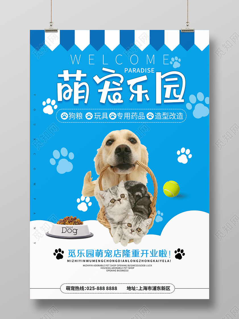 萌宠乐园宠物可爱简约蓝色清新宠物店开业猫狗领养海报