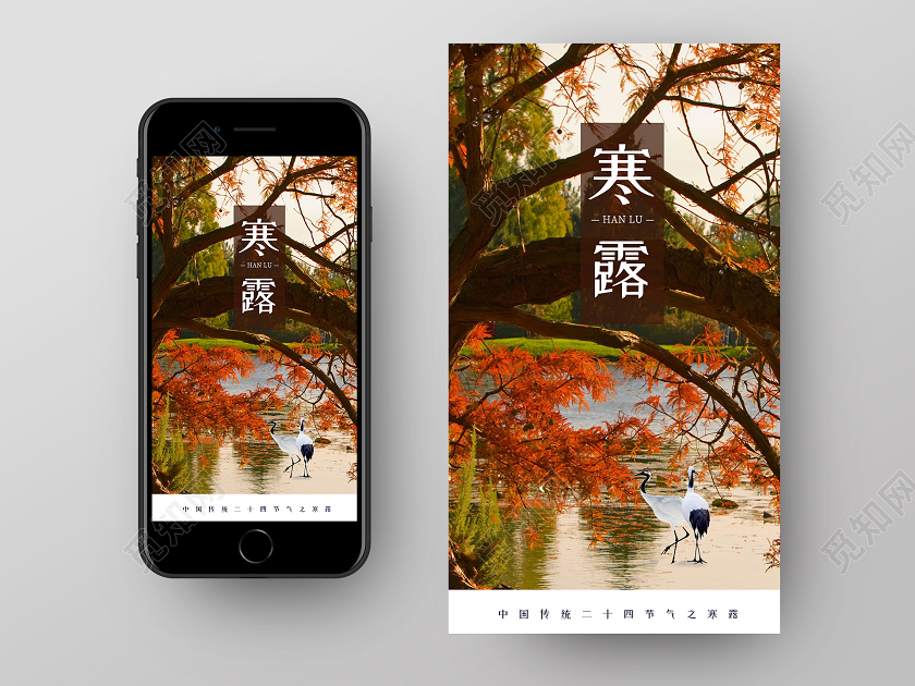 小清新风景大气二十四节气寒露UI二十四节气寒露手机ui海报启动页