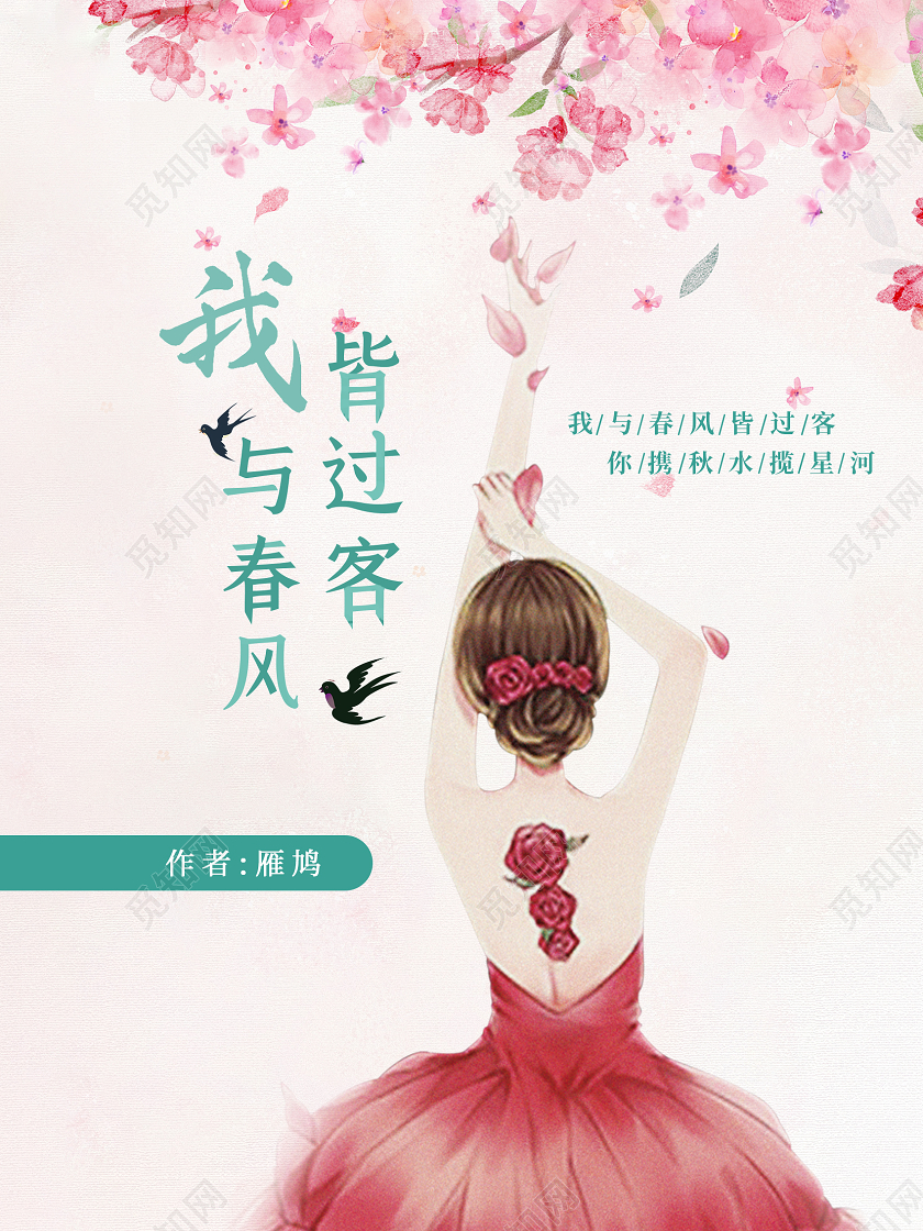粉色清新我与春风皆过客小说封面