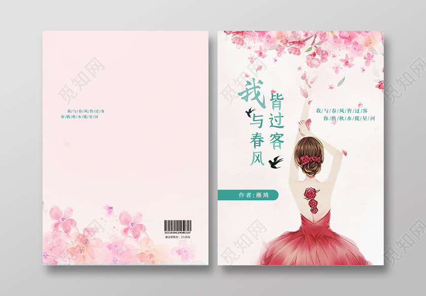 粉色清新我与春风皆过客小说封面
