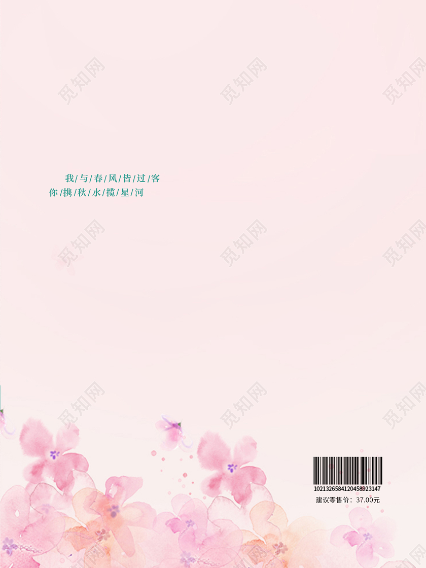 粉色清新我与春风皆过客小说封面