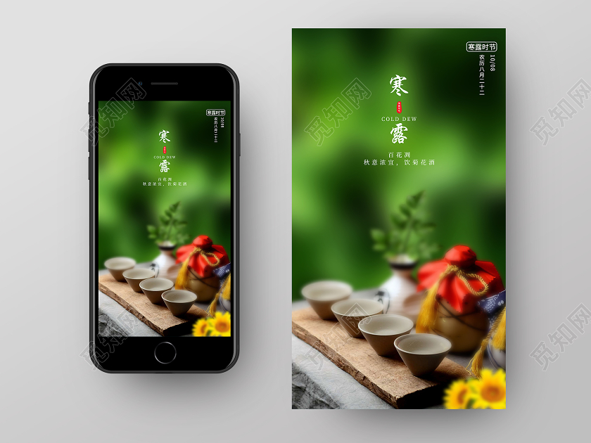 绿色意境寒露二十四24节气UI手机海报二十四节气24寒露