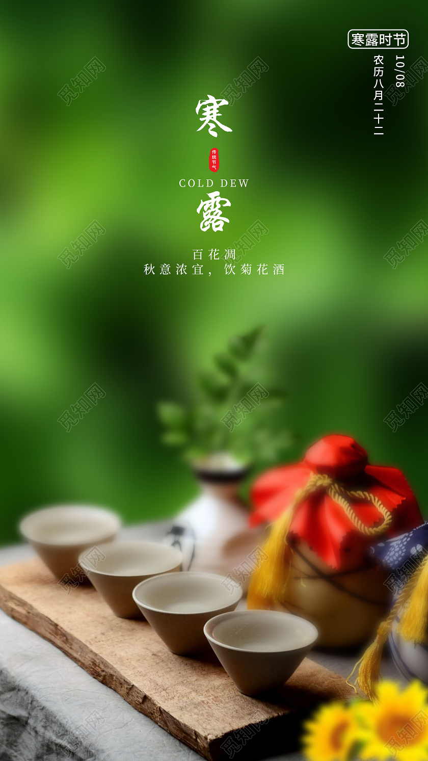 绿色意境寒露二十四24节气UI手机海报二十四节气24寒露