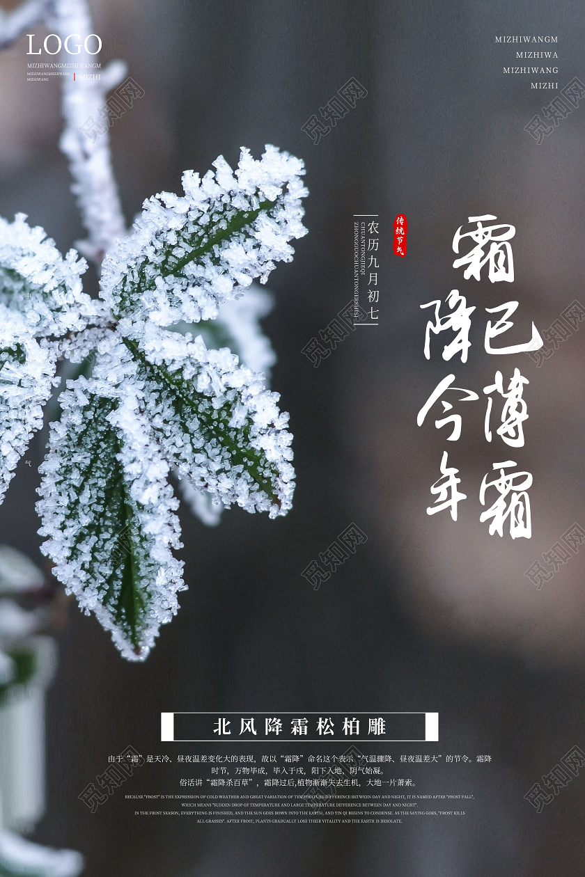 绿棕色简约霜降二十四节气宣传海报