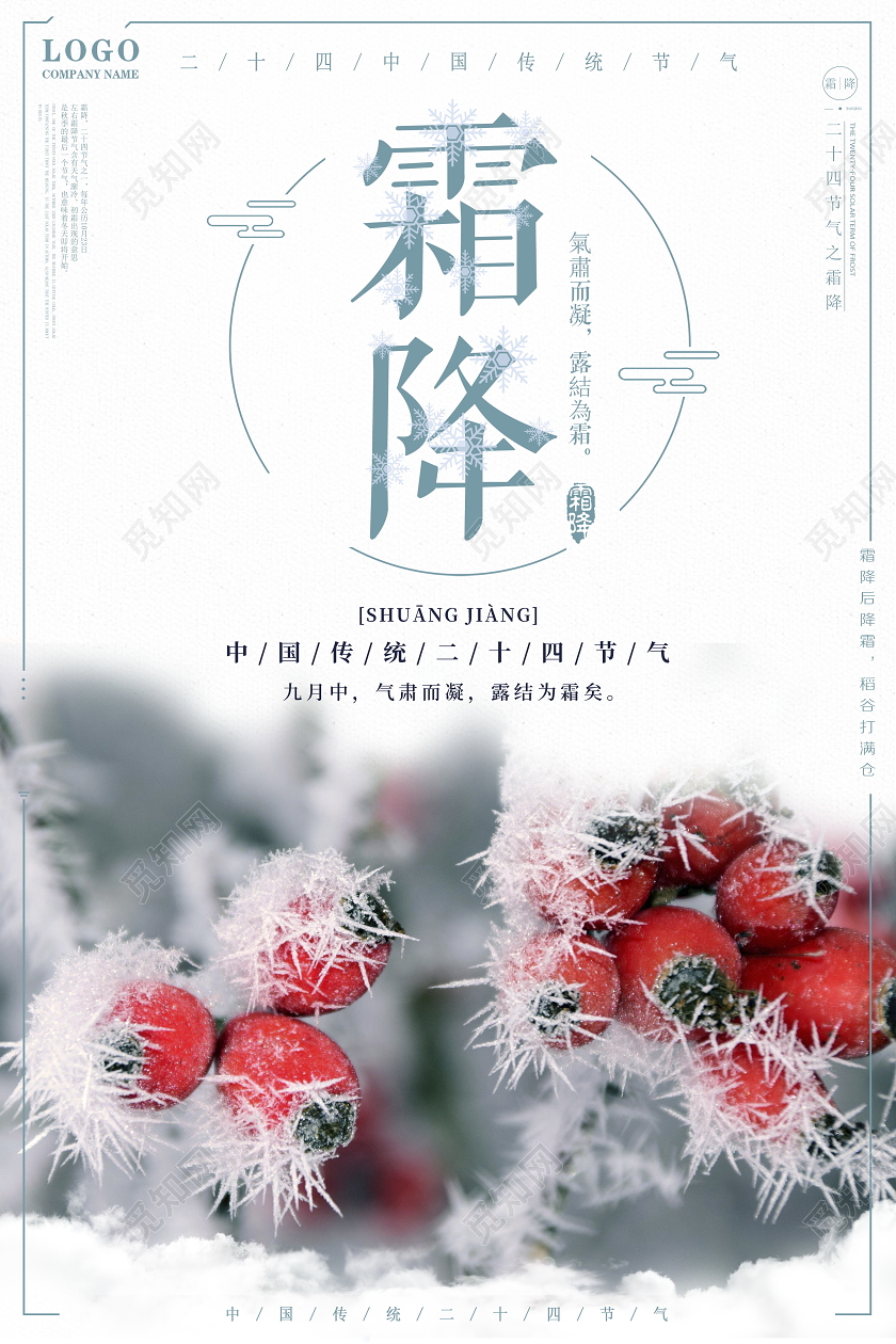 简约二十四节气霜降宣传海报