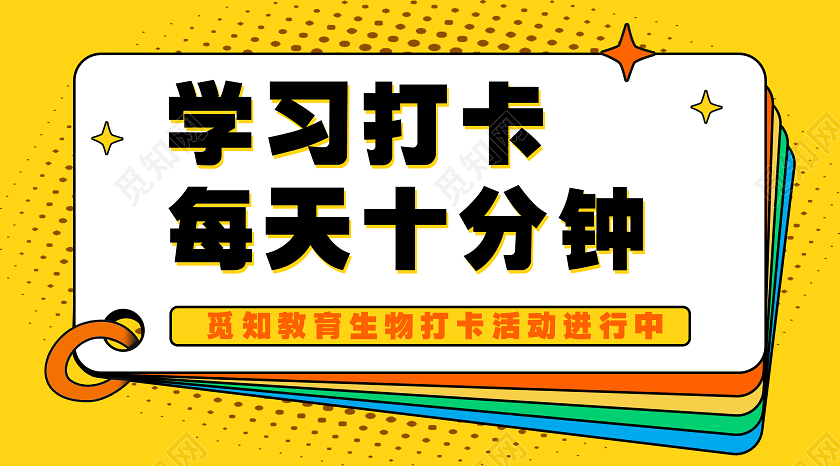 黄色波普风格学习打卡每天十分钟学习打卡公众号banner图