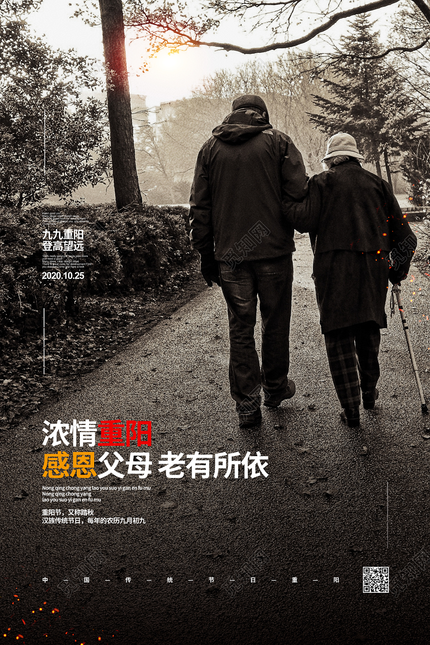 摄影简约重阳节宣传海报设计