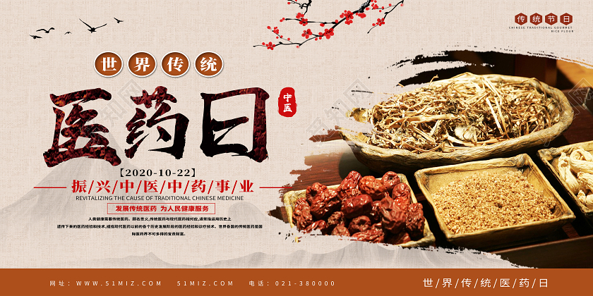 红色古风世界传统医药日展板