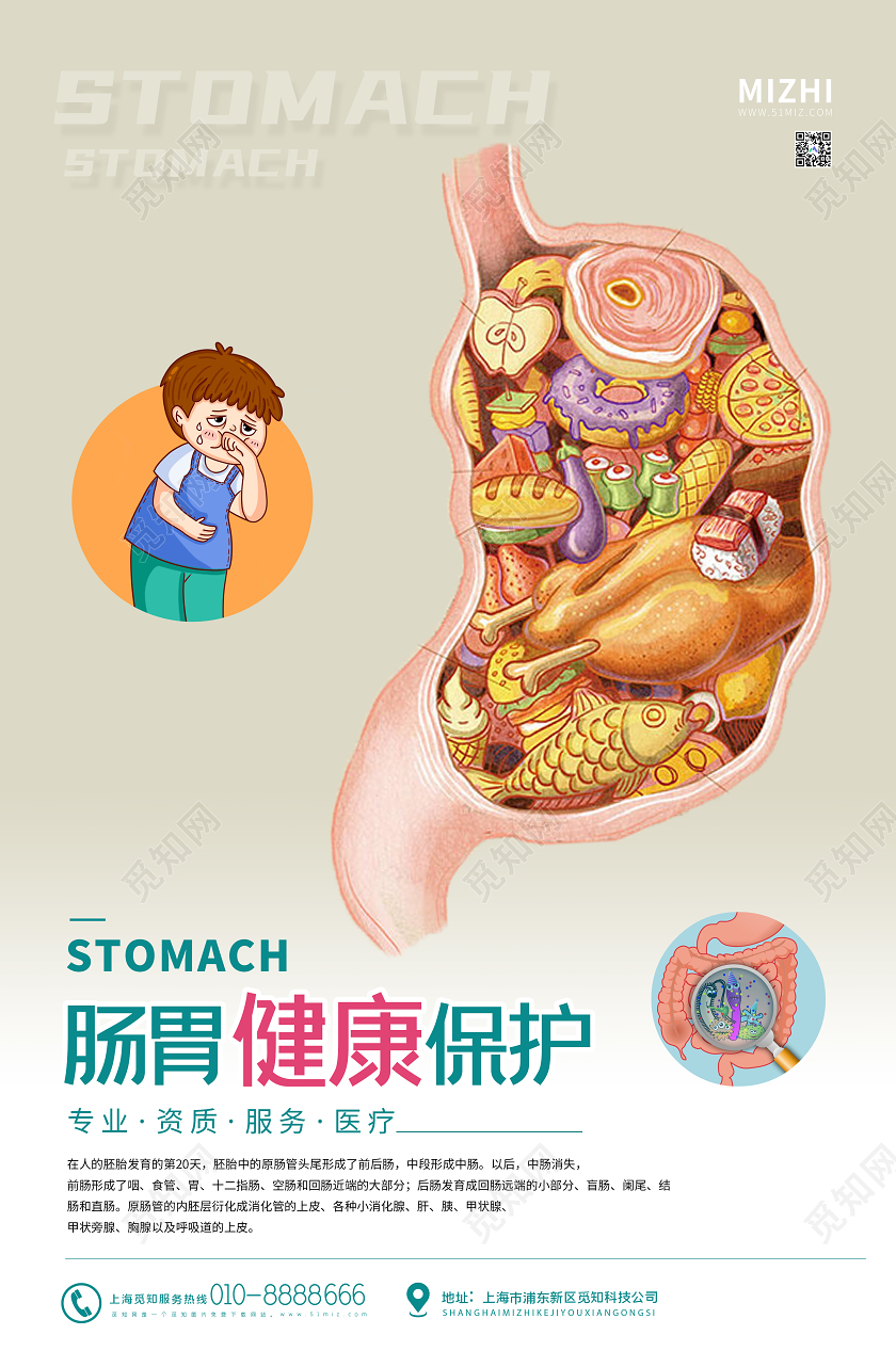 白色简约肠胃健康保护宣传海报