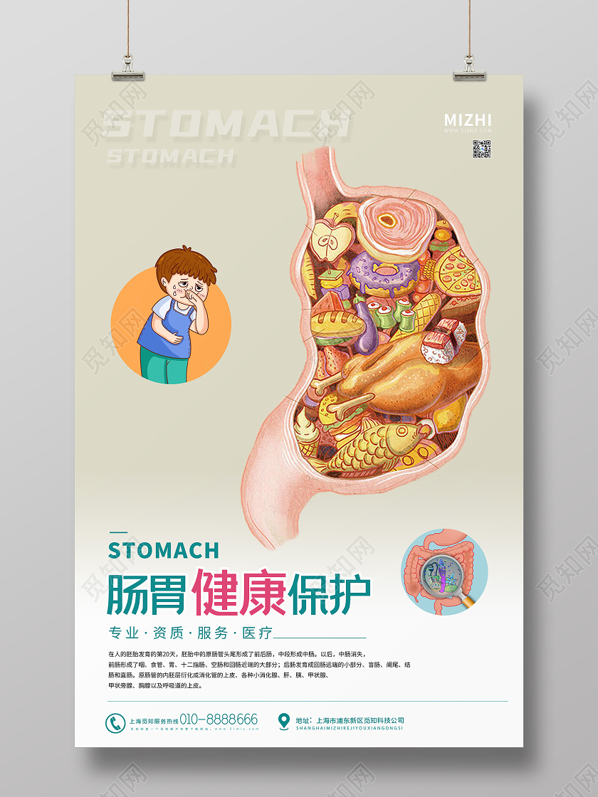 白色简约肠胃健康保护宣传海报
