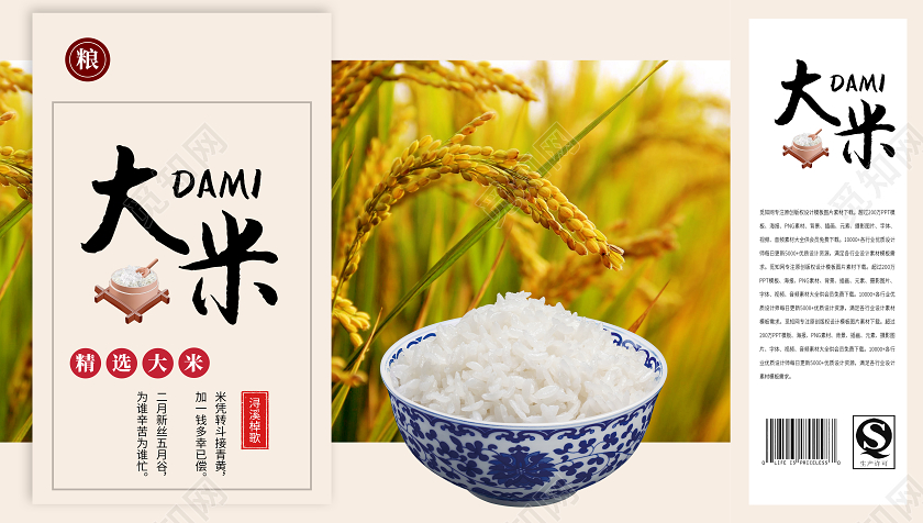 白色简约大米大米包装手提盒