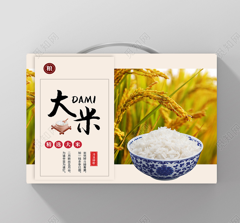 白色简约大米大米包装手提盒