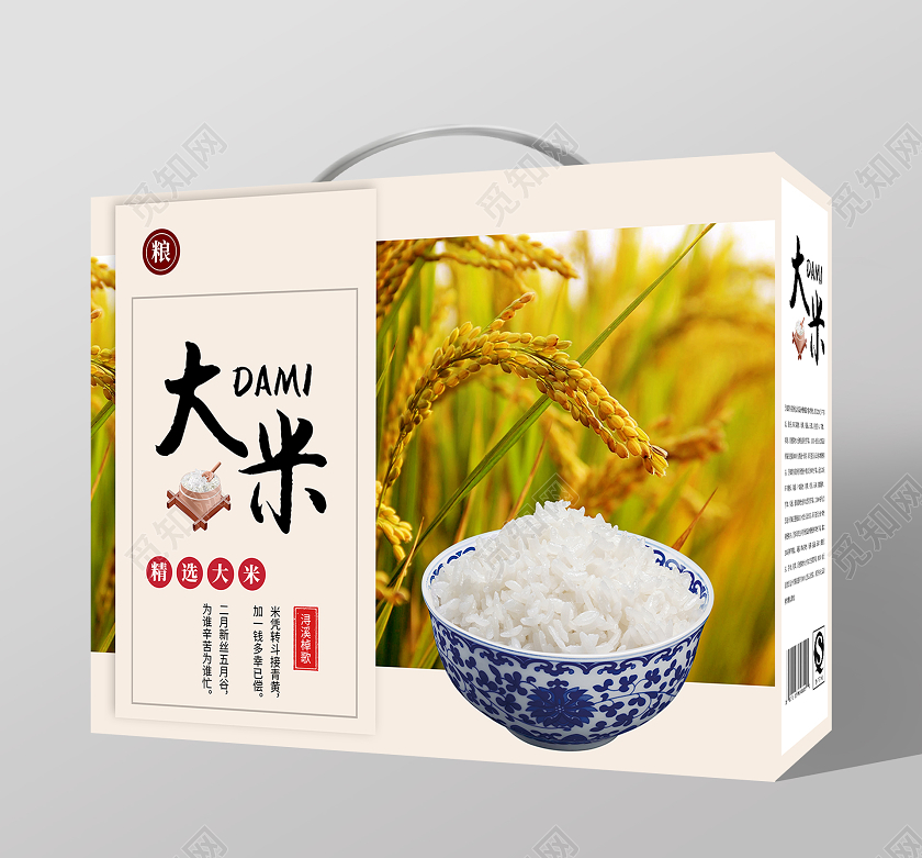 白色简约大米大米包装手提盒