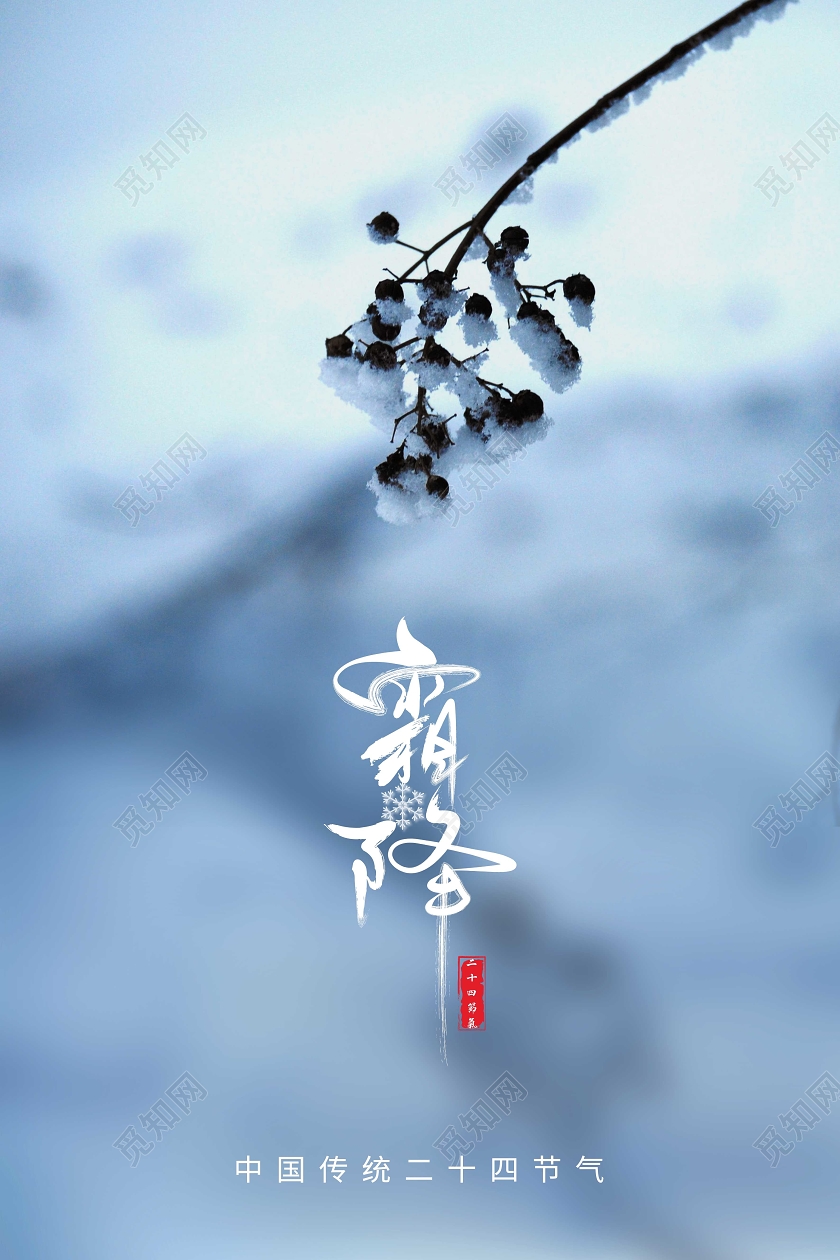 蓝色简约霜降二十四节气海报