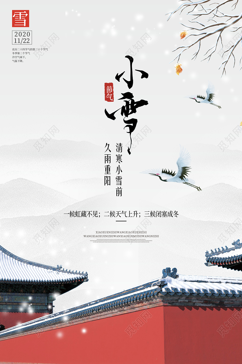 白色简约小雪二十四节气宣传海报