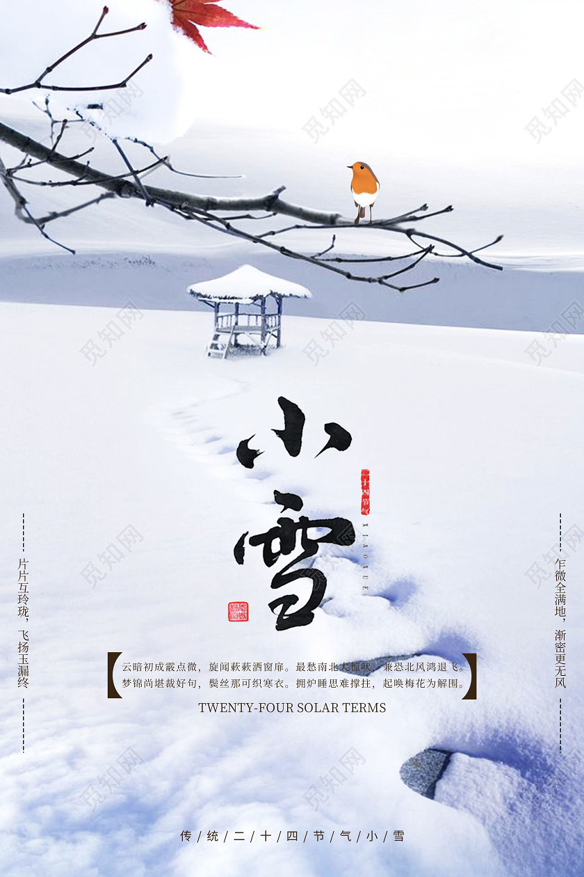 白色简约小雪二十四节气宣传海报