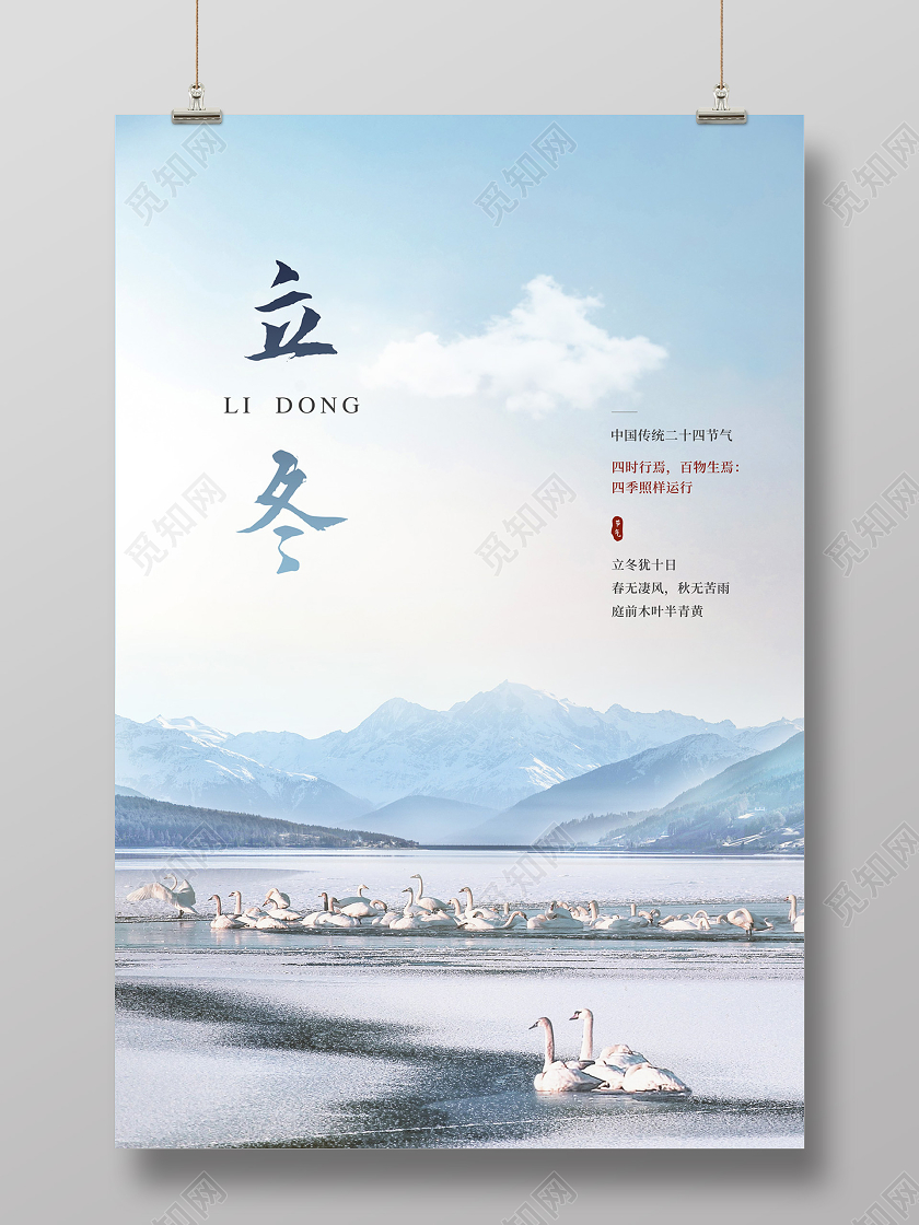 白色天鹅雪景二十四节气24节气立冬海报