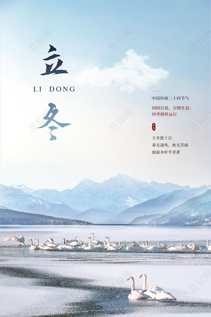 白色天鹅雪景二十四节气24节气立冬海报