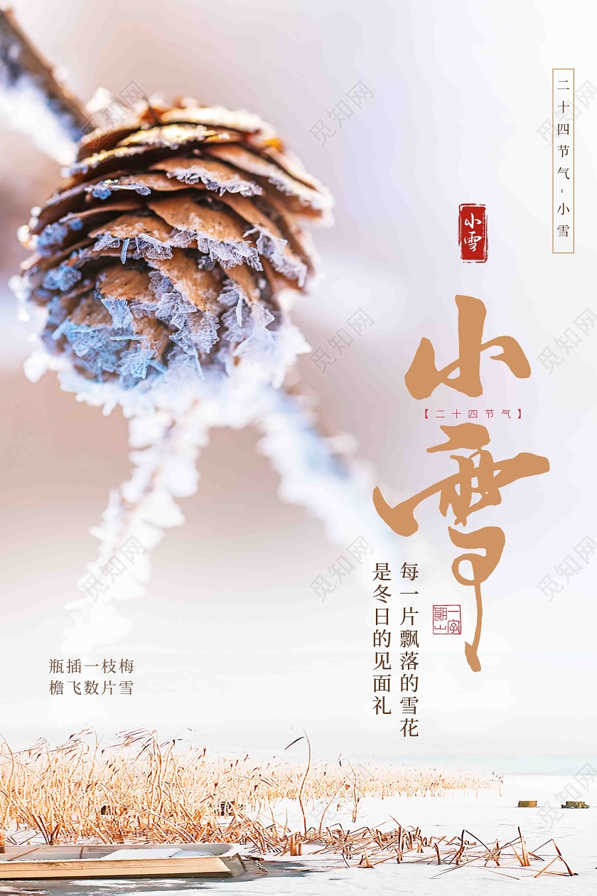 实拍小雪节气海报