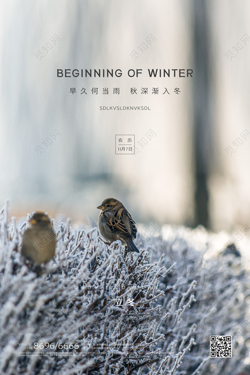 立冬雪花创意宣传海报