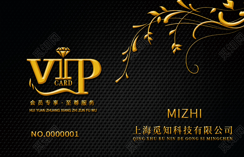 简约大气vip会员专享黑色会员卡