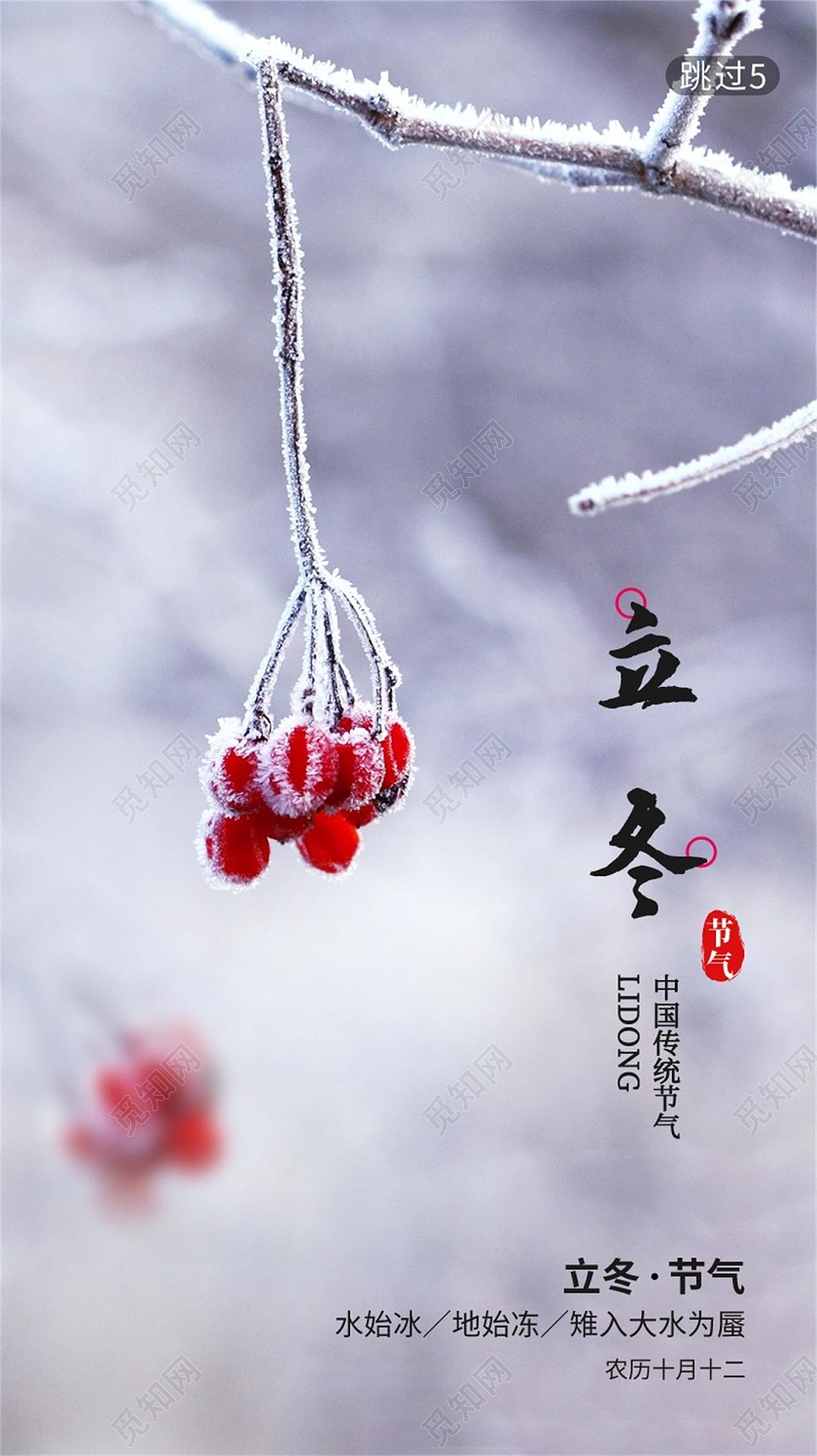 白色简约二十四节气立冬手机启动页引导页海报