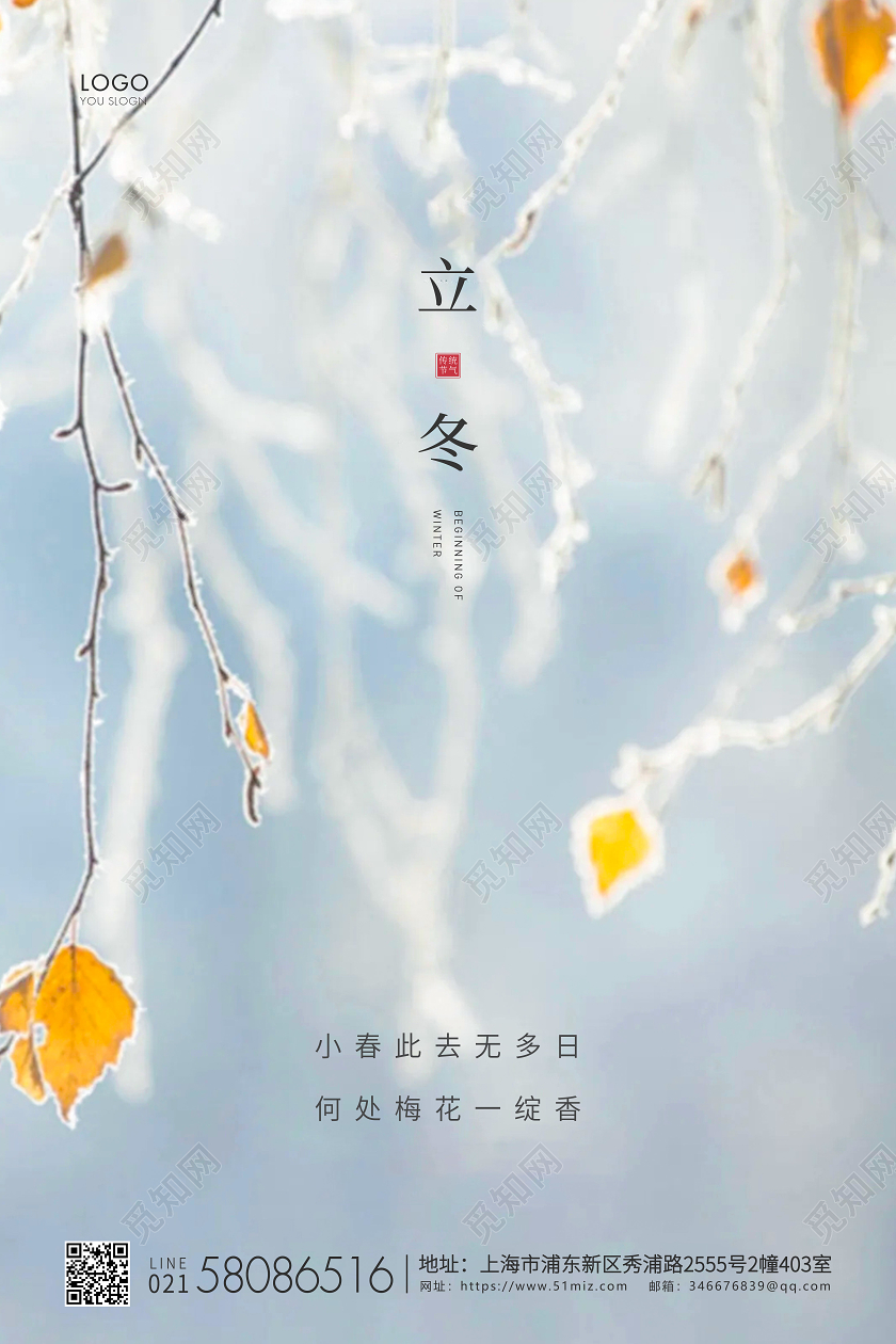 浅灰简约二十四节气立冬节气宣传海报
